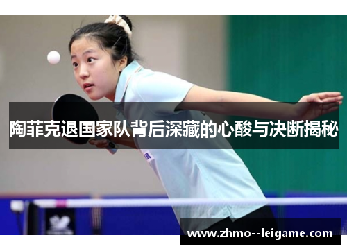 陶菲克退国家队背后深藏的心酸与决断揭秘 陶菲克退国家队背后深藏的心酸与决断揭秘