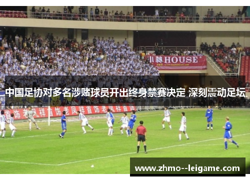 中国足协对多名涉赌球员开出终身禁赛决定 深刻震动足坛 中国足协对多名涉赌球员开出终身禁赛决定 深刻震动足坛