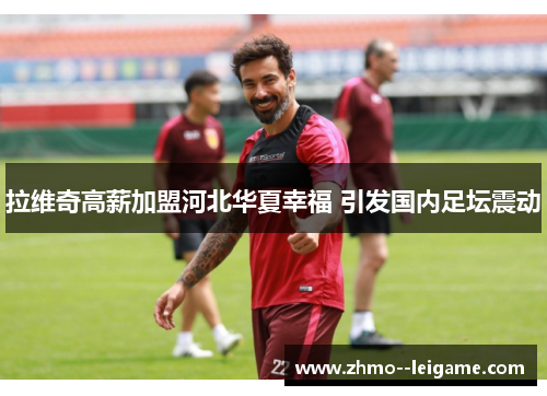 拉维奇高薪加盟河北华夏幸福 引发国内足坛震动 拉维奇高薪加盟河北华夏幸福 引发国内足坛震动