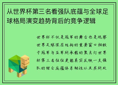 从世界杯第三名看强队底蕴与全球足球格局演变趋势背后的竞争逻辑